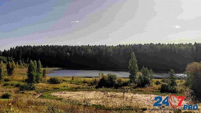 Чудесный земельный участок 54 сотки у живописного озера под Псковскими Печорами Псков - изображение 4