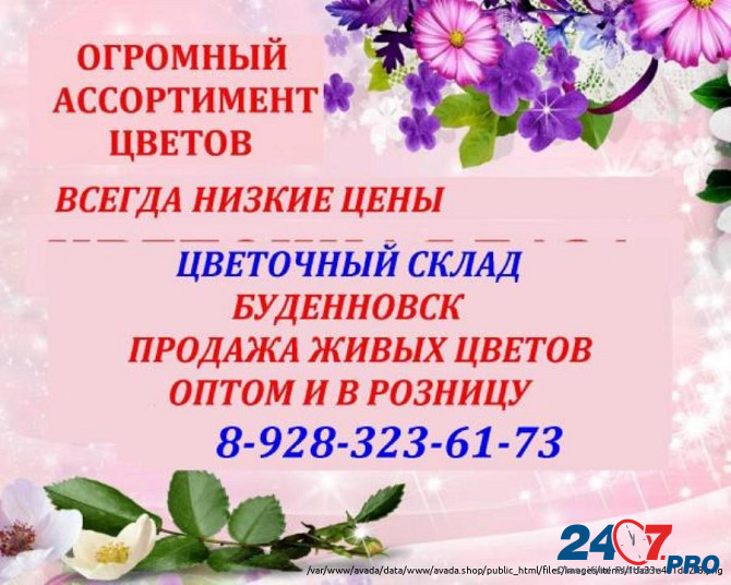 Цветочный склад, опт-розница, низкие цены Буденновск Budennovsk - photo 1