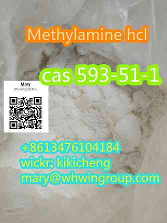 CAS 593-51-1 Methylamine hcl Thimphu