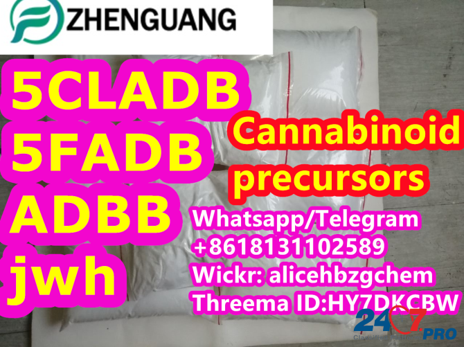 Buy 5cladb CAS 137350-66-4 with fast shipping Beijing - photo 1