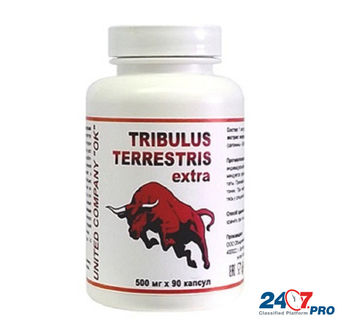 Трибулус Террестрис (Tribulus Terrestris) - 500 мг, 90 капсул Волгоград - изображение 1