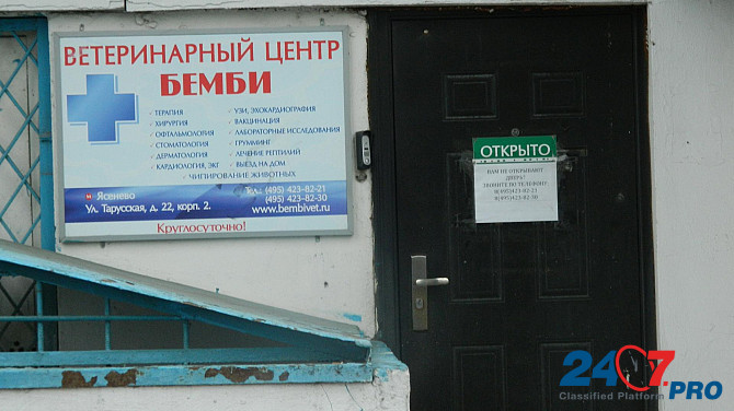 Ветеринарная клиника в Ясенево. Moscow - photo 2