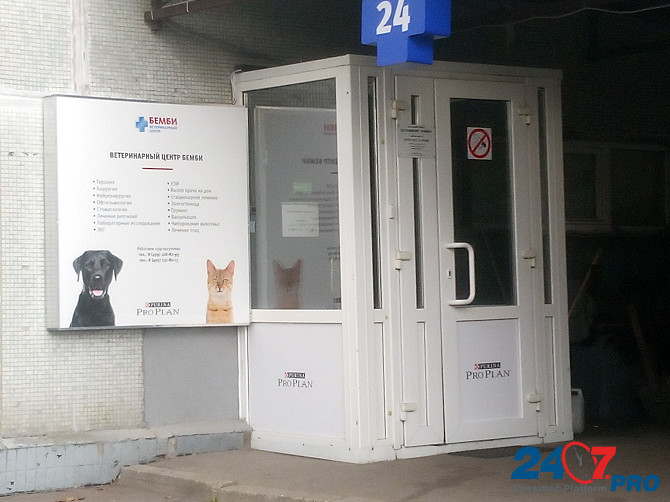 Ветеринарная клиника Бемби. Moscow - photo 2