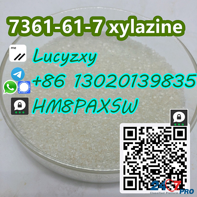 Hot Sale in America and Europe CAS 23076-35-9 Whatpp/WeChat/Telegraph:+8613020139835 Caxito - photo 1