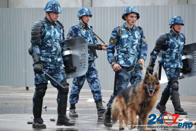 Младший инспектор отдела охраны в ФКУ ИК-28 УФСИН России по Самарской области Samara - photo 1