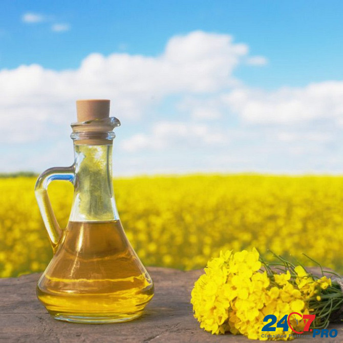 Refined deodorized rapeseed oil Moscow - photo 2