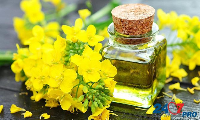 Refined deodorized rapeseed oil Moscow - photo 4