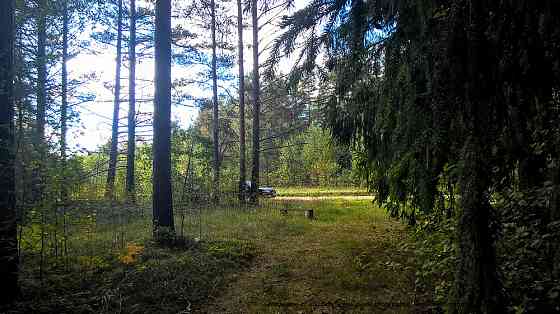 Шикарный участок на опушке соснового леса, расширение до 40 соток Staroye Palkino