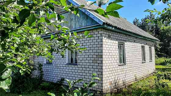 Кирпичный дом с хоз-вом и баней рядом с речкой, 50 соток земли Опочка