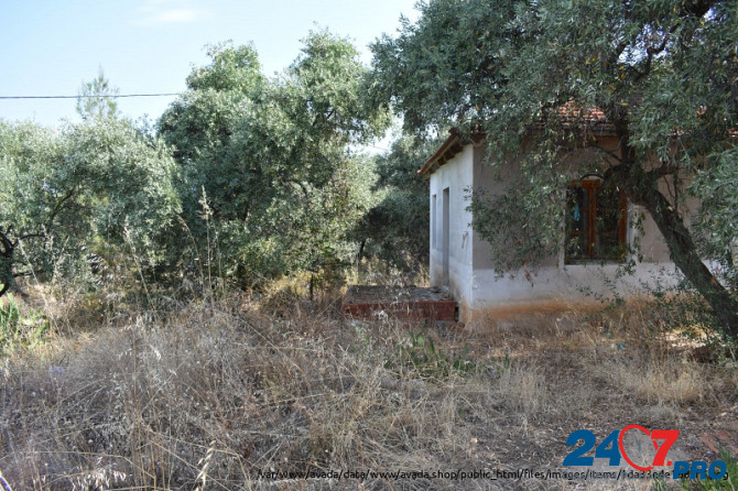 Земельный участок с оливковых дерева в районе Скала Сотирос Комотини - изображение 4