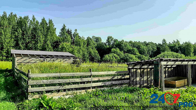 Добротный дом с хоз-вом и баней на хуторе под Псковскими Печорами Псков - изображение 5