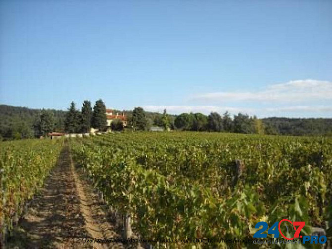 Продается красивый винный завод на холмах кьянти Siena - photo 3