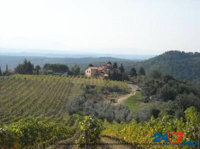 Продается красивый винный завод на холмах кьянти Siena - photo 7