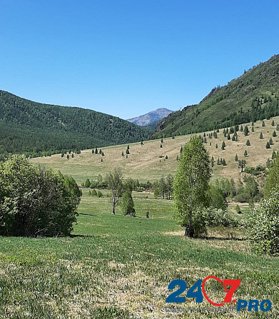 Территория (уклон) в Горном Алтае под комплекс по пантолечению с горнолыжкой у речки Belokurikha - photo 7