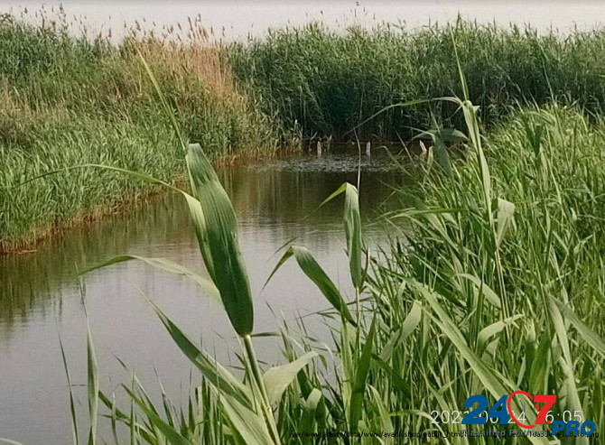 Земельные участки в лимано-плавневой зоне, для рыбалки и охоты. Krasnodar - photo 3