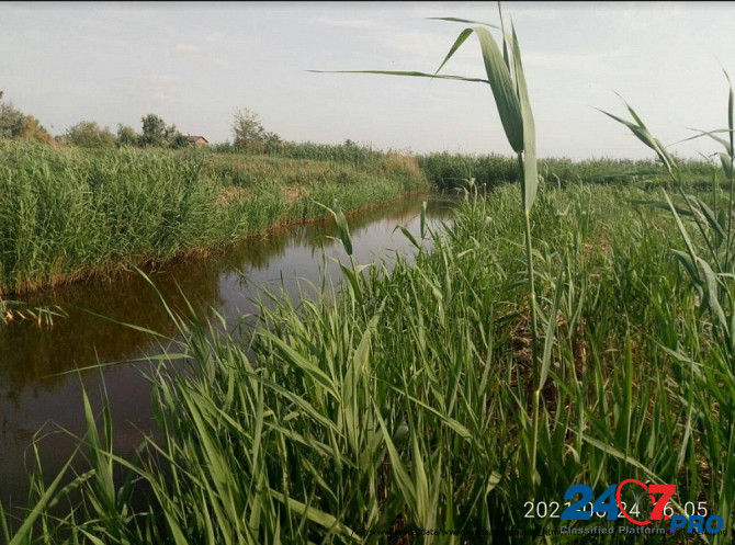 Земельные участки в лимано-плавневой зоне, для рыбалки и охоты. Krasnodar - photo 5