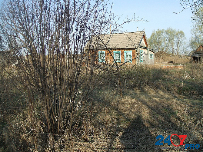Продается дом у реки и участок 24 сотки в Алтайском крае Барнаул - изображение 3