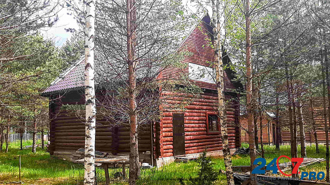 Дом из бревна в сказочном хвойном лесу у живописного озера Pskov - photo 1