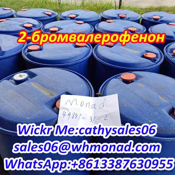 CAS 49851-31-2 2-бромвалерофенон CAS 49851 31 2 Китай надежный поставщик Moscow