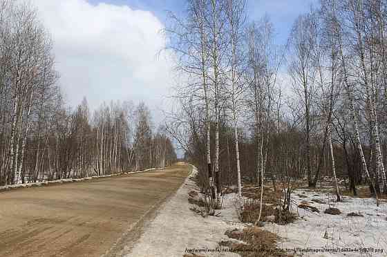 Земельный участок, 60 га, д. Шамы (Саянский район) Aginskoye