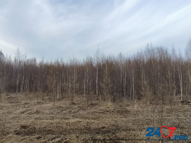 Земельный участок, 60 га, д. Шамы (Саянский район) Aginskoye - photo 3