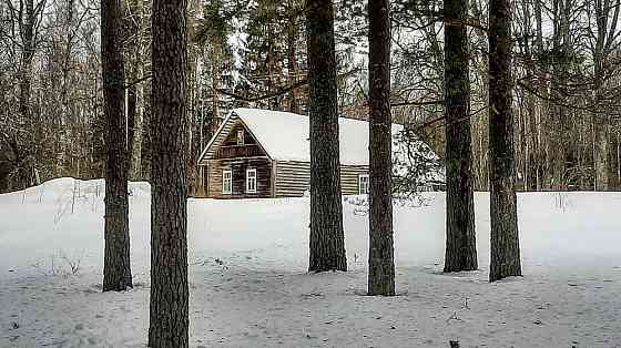 Домик на эстонском хуторе в хвойном лесу под Старым Изборском Pskov