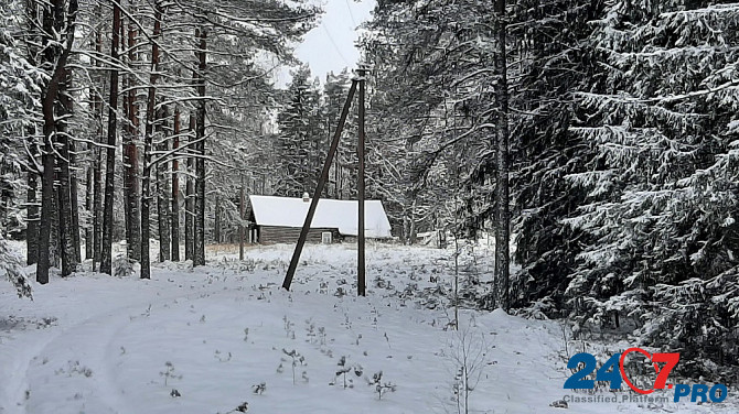 Домик на эстонском хуторе в хвойном лесу под Старым Изборском Псков - изображение 3
