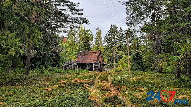 Домик на эстонском хуторе в хвойном лесу под Старым Изборском Псков - изображение 7