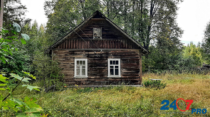 Домик на эстонском хуторе в хвойном лесу под Старым Изборском Псков - изображение 4