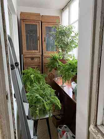 3х комнатная на Варненской Малиновский Черёмушки Odessa