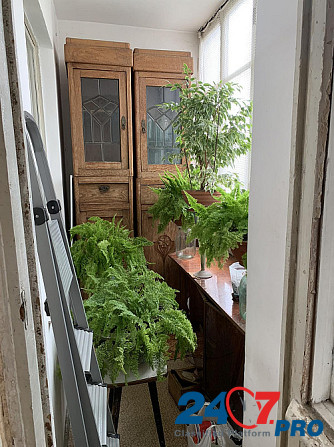 3х комнатная на Варненской Малиновский Черёмушки Одесса - изображение 2