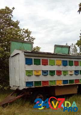 Пчеловодческий вагон Линево - изображение 1