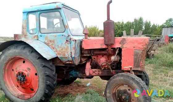 Трактор мтз-50 Koksovyy