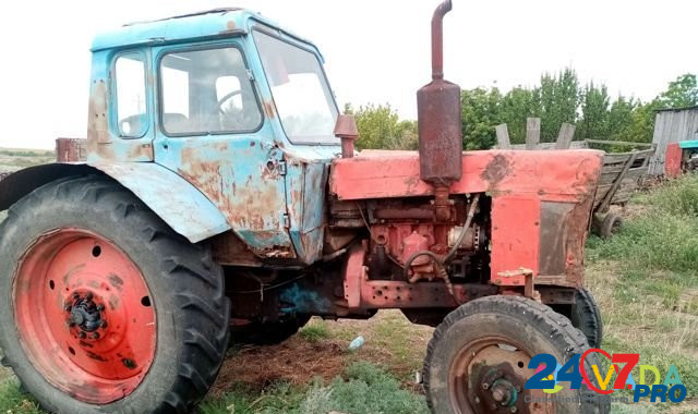 Трактор мтз-50 Koksovyy - photo 2