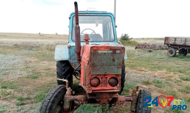 Трактор мтз-50 Koksovyy - photo 3