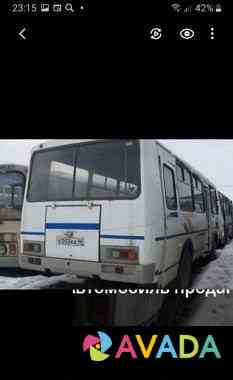 Продаются Автобусы Паз 4234 дизель Липецк