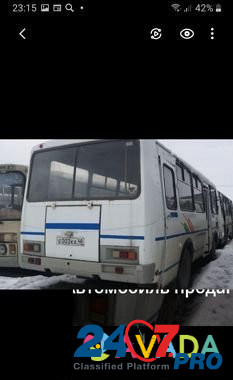 Продаются Автобусы Паз 4234 дизель Липецк - изображение 1