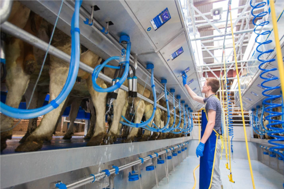 Продажа доильного оборудования для молочных ферм Smolensk