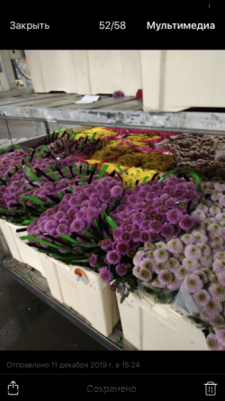 Работа и вакансии на цветочном производстве в Голландии Poznan