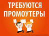 Распространение рекламы Vladivostok