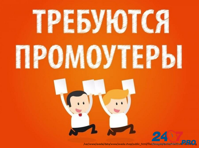 Распространение рекламы Владивосток - изображение 1