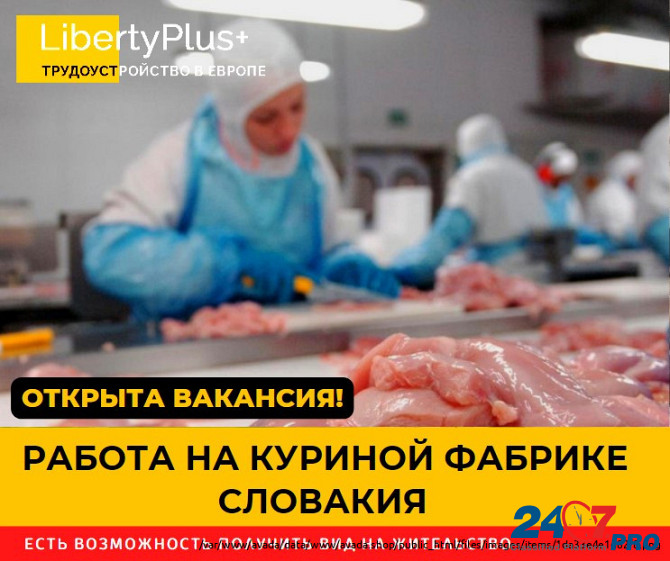Словакия. Фабрика по переработке куриного мяса. ЗП 1200 евро чистыми Poltava - photo 1