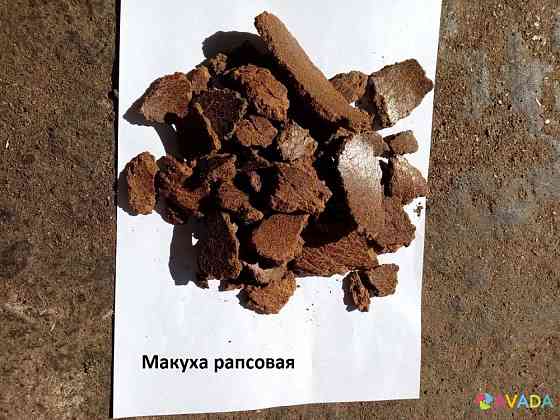 Продам рапсовый жмых (макуху) жаренный в любом количестве, жмых сухой, находится в складе Oleksandriya