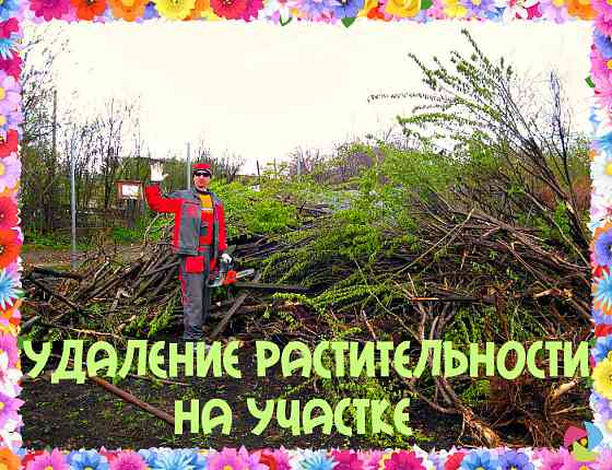 Спиливание деревьев и корчевание пней. Расчистка и планировка участка. Voronezh