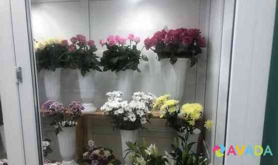 Продам магазин цветов Solikamsk
