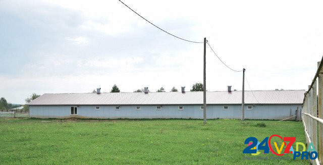 Здание сельхозназначения Шаранга - изображение 5