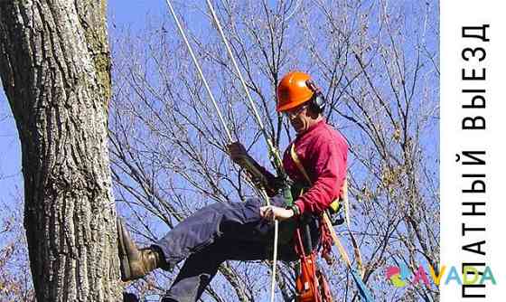 Удалить дерево Фряново Fryanovo