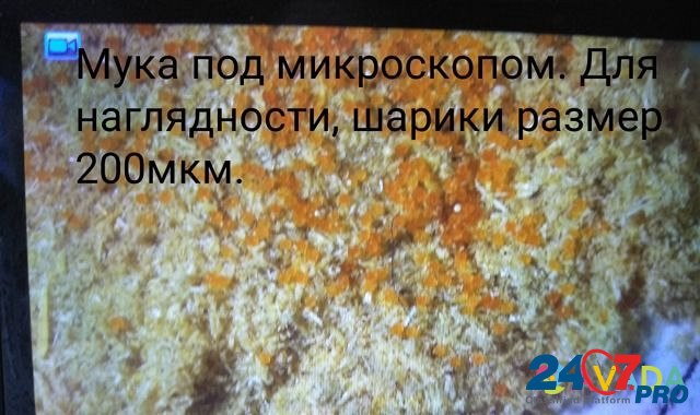 Древесная мука М180,М200,М250,М400,М560 Astrakhan' - photo 3