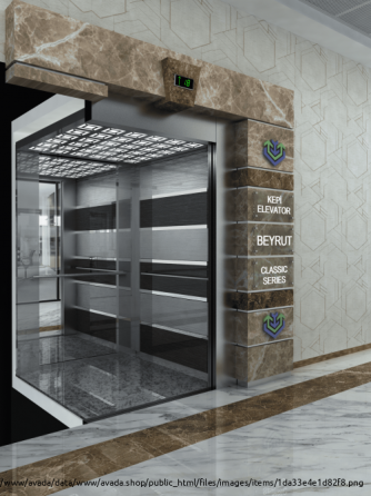 Пассажирские лифты Ankara