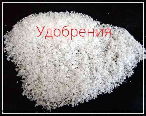 Фосфорные удобрения и кормовые фосфаты. Dzerzhinsk